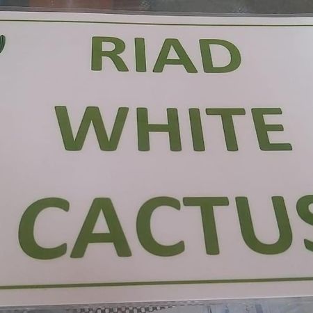 Riad White Cactus Marrakesh Exterior photo